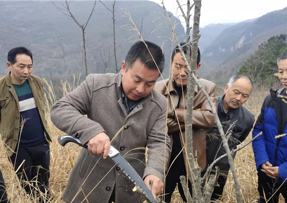 野生山药怎么种_野山药怎么种植技术_山药种植法