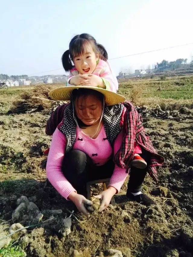 种植野山药周期多长_野生山药怎么种_野山药怎么种植技术