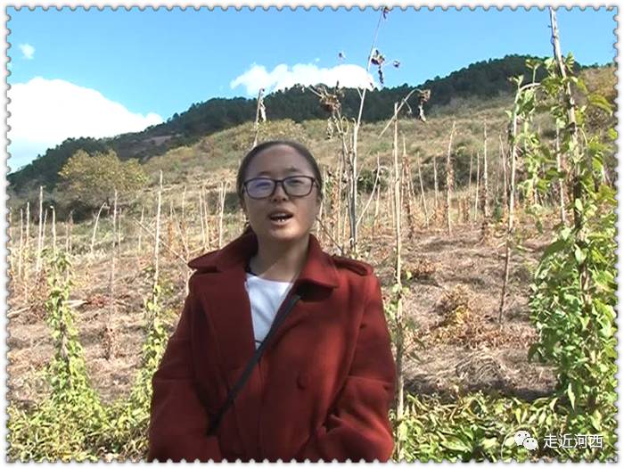 野山药怎么种植技术_野生山药种植技术视频_种植野山药周期多长