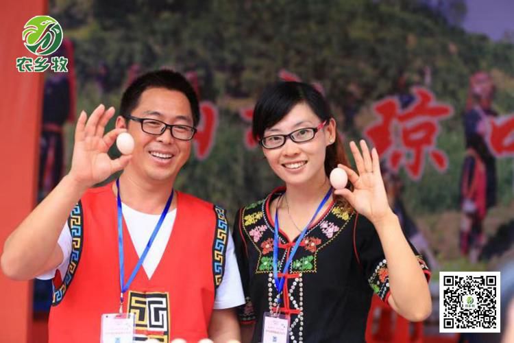 海南养殖创业致富_海南养殖什么赚钱_海南农村创业好项目养殖类