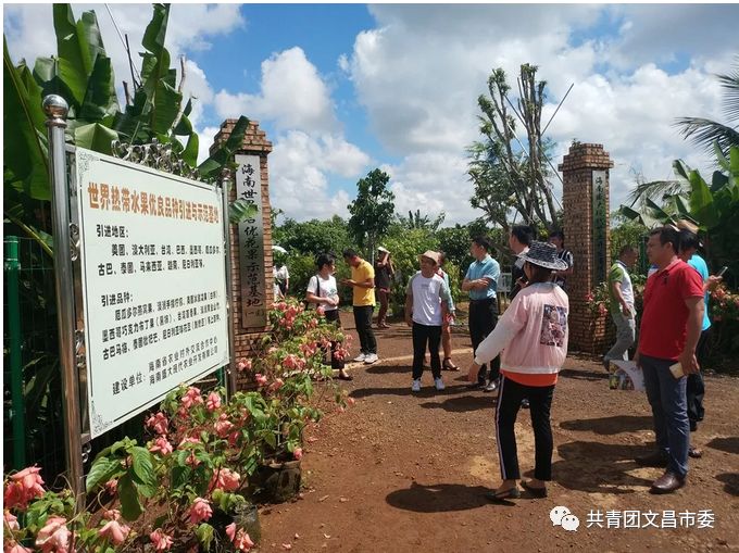 海南养殖什么赚钱_海南养殖创业致富_在海南搞养殖