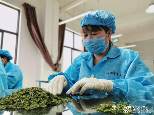 乡镇蔬菜种植简报_种植蔬菜报道_乡镇蔬菜种植户致富新闻