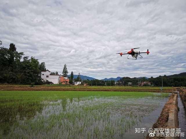 乡镇蔬菜种植简报_乡镇蔬菜种植户致富新闻_种植蔬菜报道