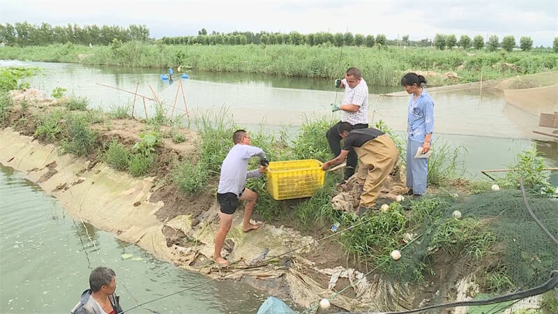 养殖致富对联带横批_水产养殖致富对联_2020水产养殖对联