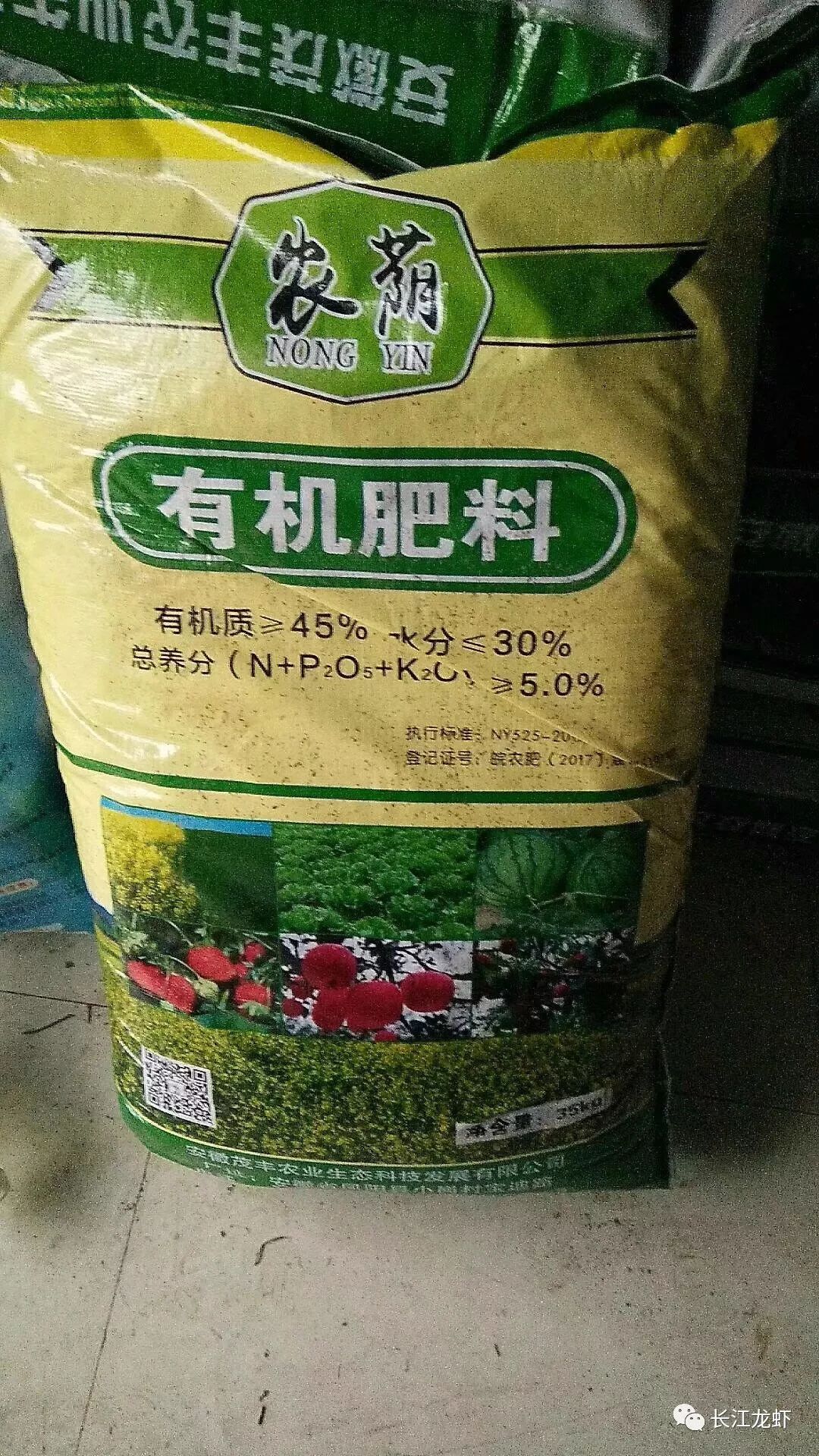 伊乐藻的种植技术_伊乐藻种植视频_藻种的使用