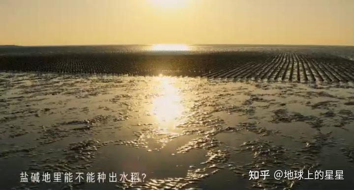 电商之路经验_优质回答的经验之路_流放之路哪个裂隙是经验高