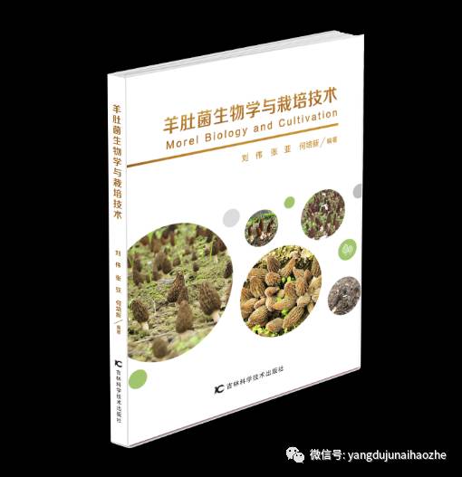 《羊肚菌生物学与栽培技术》新书首发