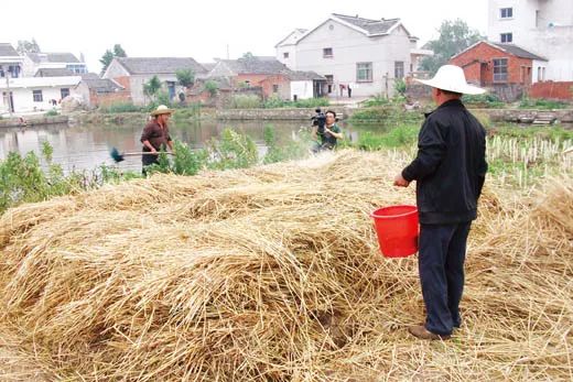 鲎鱼学养殖技术和种植技术_鲎养殖技术和环境_鲎鱼养殖方法视频