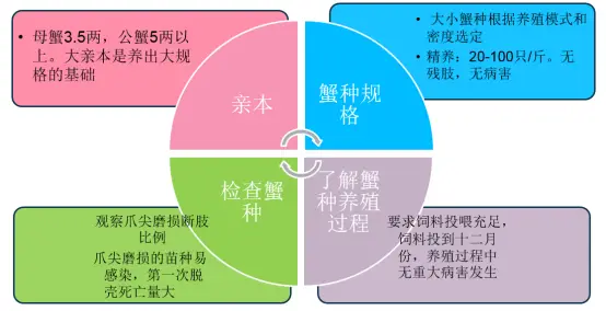 人工养殖蝉蛹技术_人工养殖蝉蛹_人工养殖蝉蛹视频