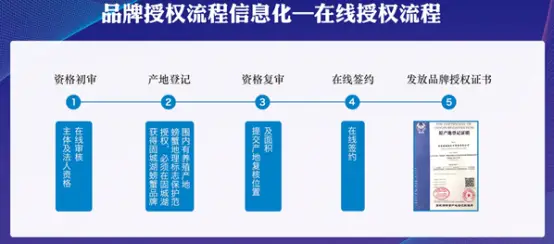 人工养殖蝉蛹视频_人工养殖蝉蛹技术_人工养殖蝉蛹