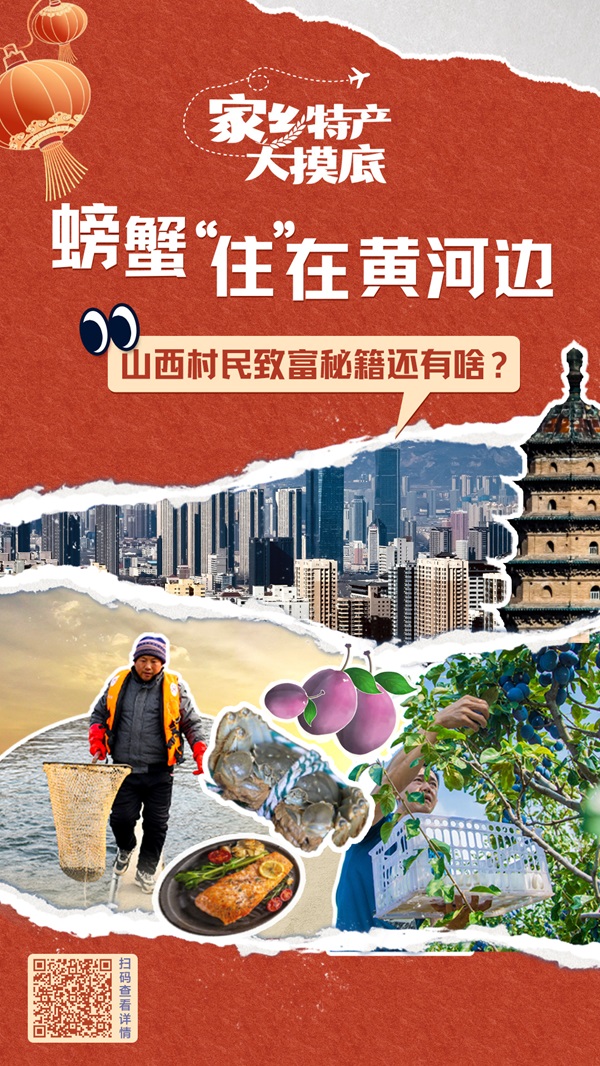 广西紫苏种植基地_紫苏在广西叫什么_广西种植紫苏致富