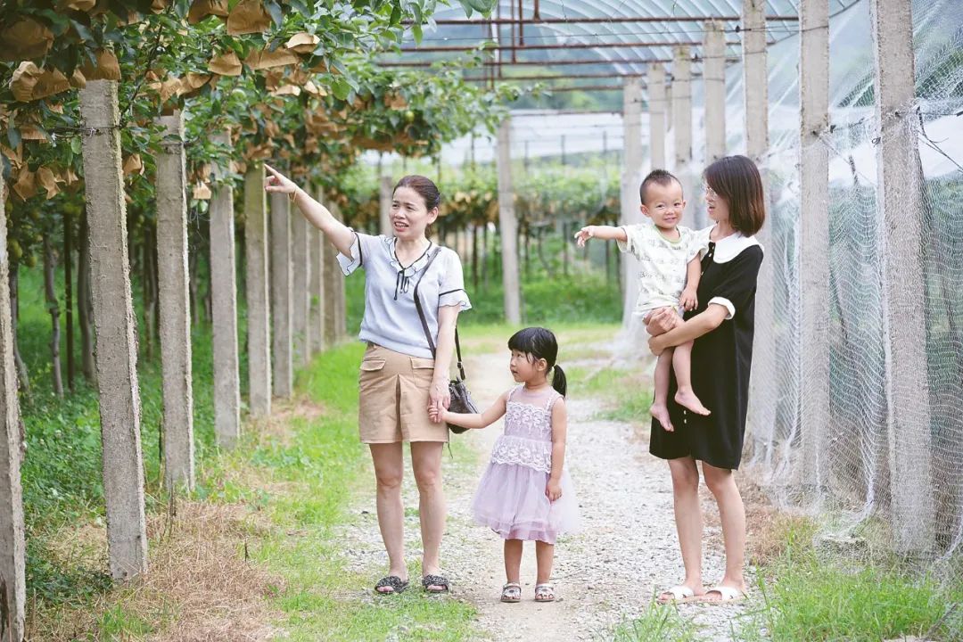 种植果园致富视频_视频致富种植果园下载_农村致富种植