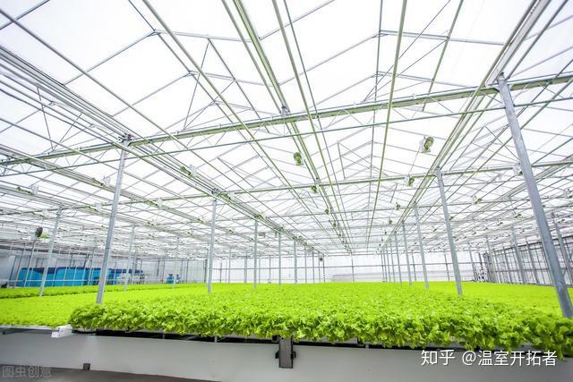 温室种植释迦技术_释迦栽培技术_释迦养殖技术