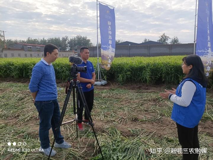 安丘生姜种植面积_山东安丘生姜种植_安丘种植生姜 致富