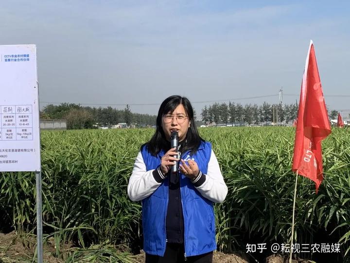 山东安丘生姜种植_安丘生姜种植面积_安丘种植生姜 致富