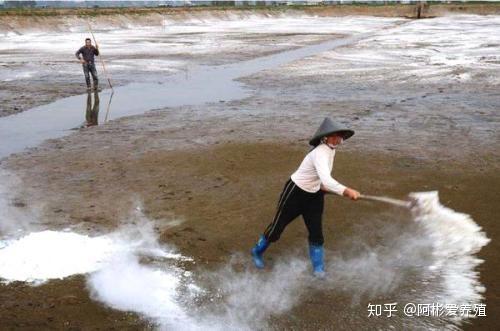 农广天地龙虾养殖技术_农广天地小龙虾养殖_龙虾养殖基地图