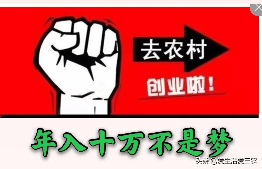 致富养殖好项目大全_致富经养殖业_养殖致富项目大全致富热