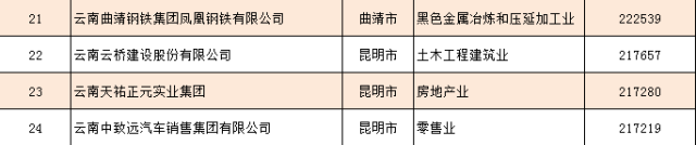 云南致富项目_云南致富经_云南省致富经排名