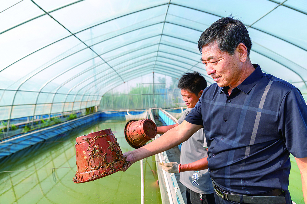 养殖销路水蛭技术视频_水蛭养殖前景和销路_水蛭养殖技术与销路