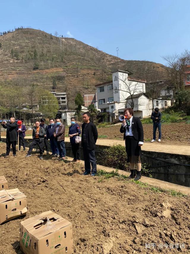 云南蘑菇种植基地_云南蘑菇种植合作公司_云南种植蘑菇致富