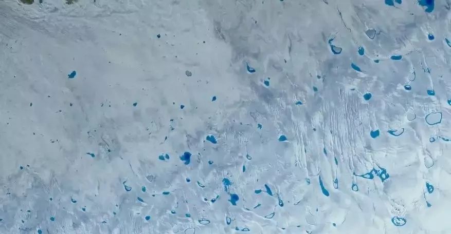 海龟养殖技术视频_养殖海龟需要什么手续_视频养殖海龟技术大全