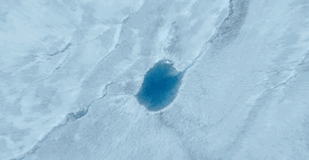 养殖海龟需要什么手续_海龟养殖技术视频_视频养殖海龟技术大全