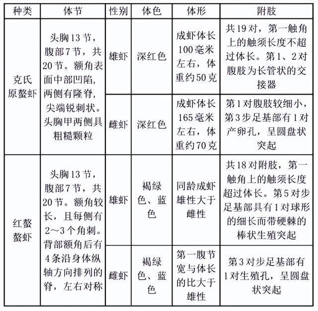 养殖想学技术怎么学_想学养殖技术_养殖想学技术怎么样