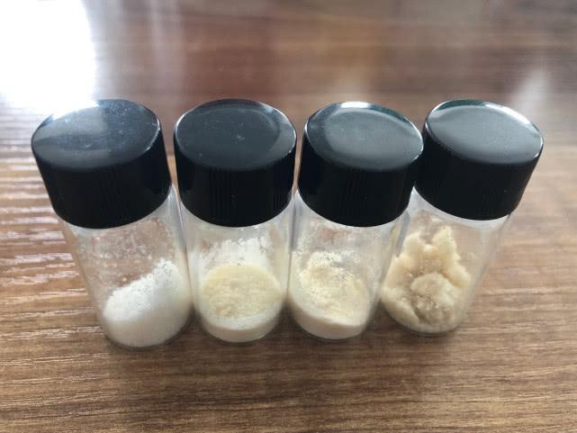 云南种植蘑菇致富_云南蘑菇种植基地_蘑菇致富云南种植视频