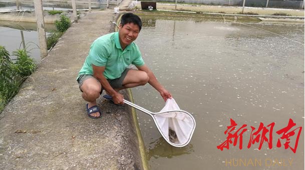 致富经泥鳅养殖视频_视频致富养殖泥鳅_泥鳅养殖视频播放