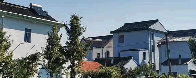 养驴致富视频_驴养殖致富项目_驴致富养殖项目怎么样