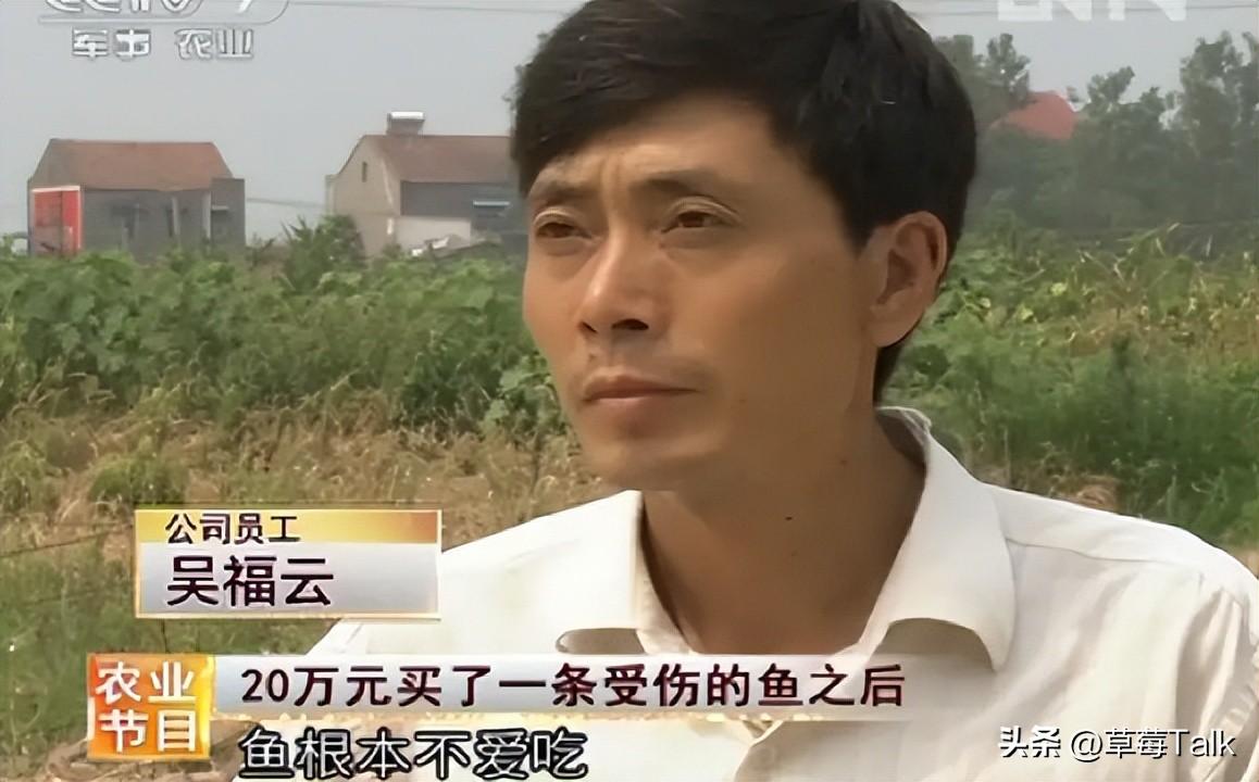 养殖鲶鱼赚钱吗_cctv7 致富经鲶鱼养殖_养殖鲶鱼利润多大