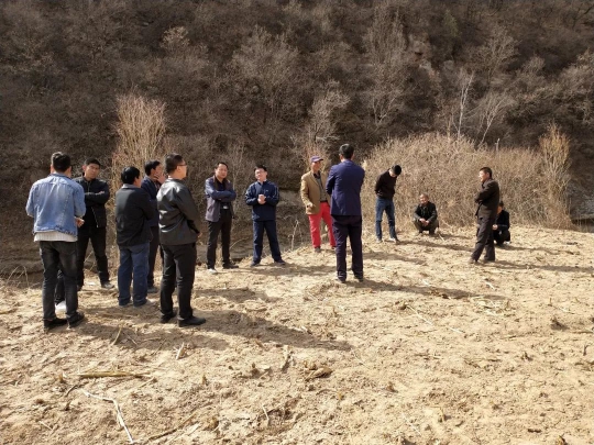 种植水稻脱贫致富先进乡_2020年水稻种植补贴_种植水稻助力乡村振兴