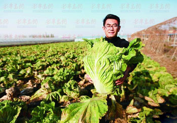 买房种地发家致富_致富经放弃房地产种菜_种菜致富案例