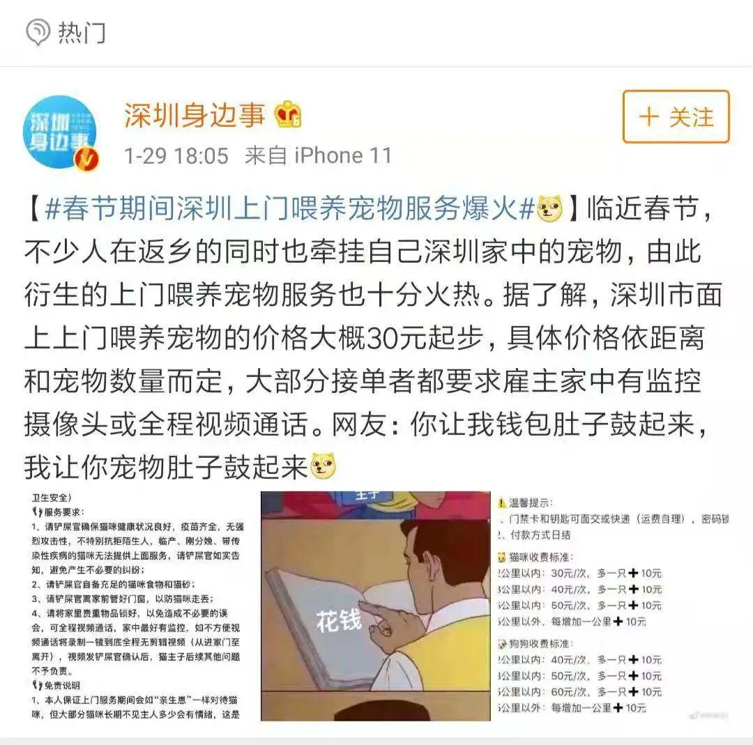 过年期间上门喂养净赚上万，深圳人养宠这么“大手笔”