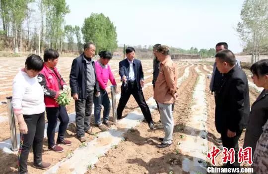 冬天辣椒种植_冬季种辣椒的利润是多少_种植冬季辣椒致富