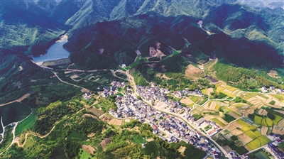 茶叶致富带头人_茶叶种植致富之家_靠茶叶致富