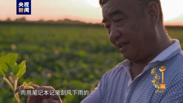 种植小麦有什么补贴_农民播种小麦_19岁农民工种植致富小麦