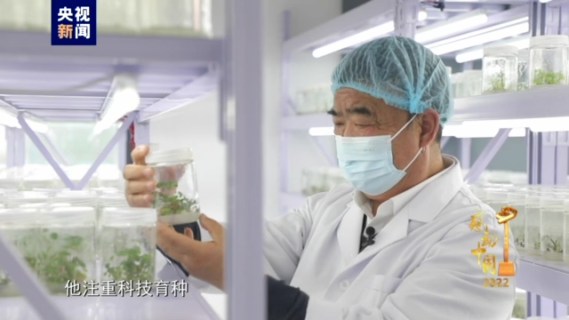 种植小麦有什么补贴_19岁农民工种植致富小麦_农民播种小麦