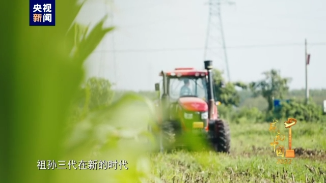 农民播种小麦_19岁农民工种植致富小麦_种植小麦有什么补贴