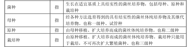 我们经常吃的金针菇其实菌种多靠进口？五大行业巨头欲联手破局