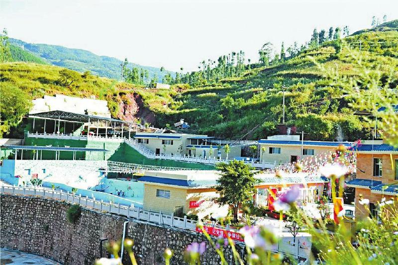 农民致富种植项目_农民异地种植致富_种地致富项目