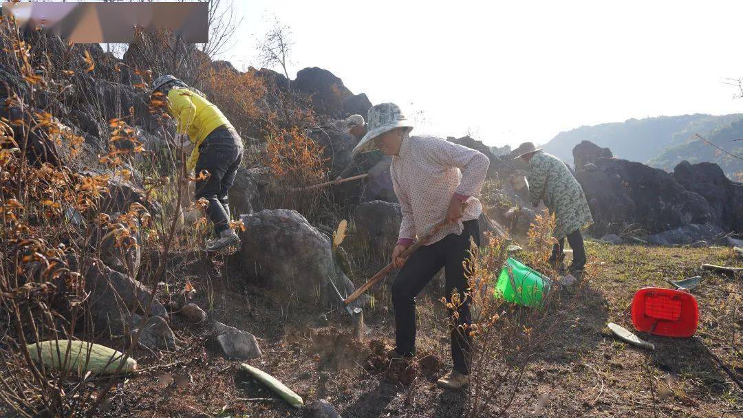 异地致富种植农民有补贴吗_农民致富种植项目_农民异地种植致富