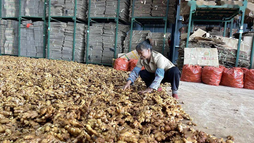 农民致富种植项目_异地致富种植农民有补贴吗_农民异地种植致富