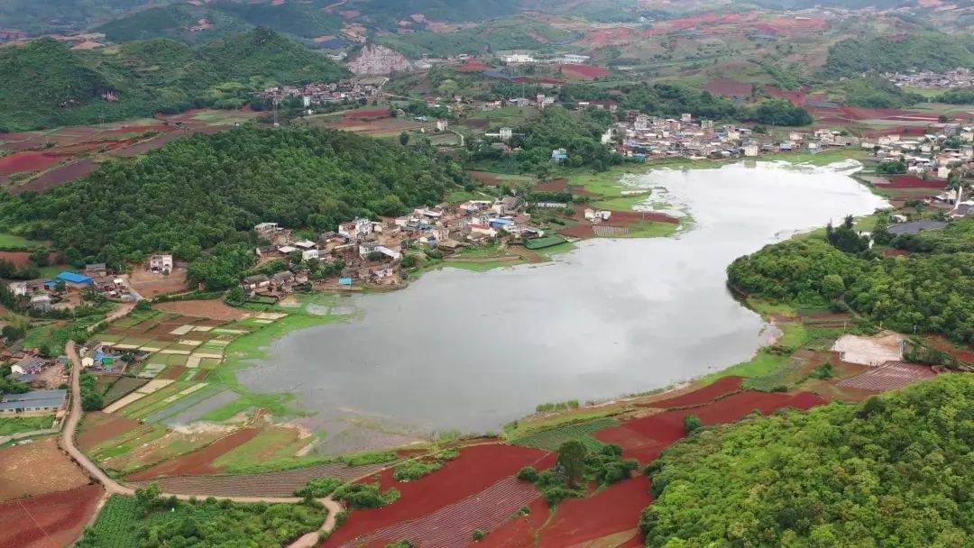 农民异地种植致富_农民致富种植项目_异地致富种植农民有补贴吗