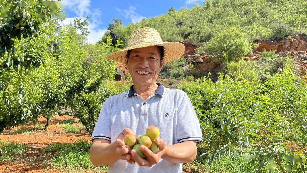 农民异地种植致富_异地致富种植农民有补贴吗_农民致富种植项目