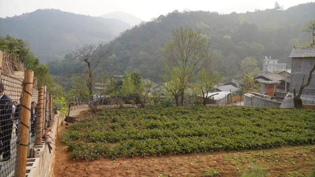 异地致富种植农民有补贴吗_农民致富种植项目_农民异地种植致富