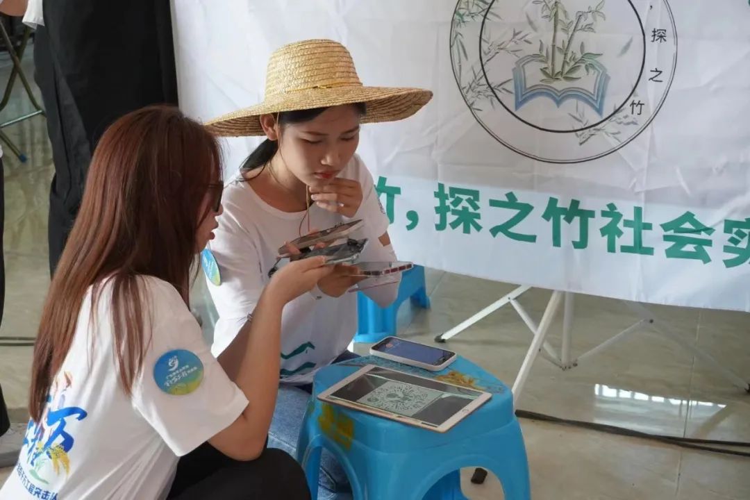 荆北新区和沙北新区_沙荆种植技术_沙葱在湖北可以种植吗