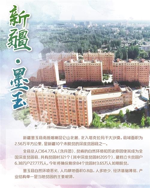 吉林省养殖肉兔致富新闻_吉林省养兔基地_吉林省兔子养殖基地