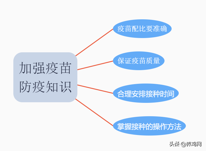 散养土鸡提高养殖成功率的几种有效方法