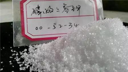 红菇种植技术_红菇种植技术视频_红菇种植技术联系方式